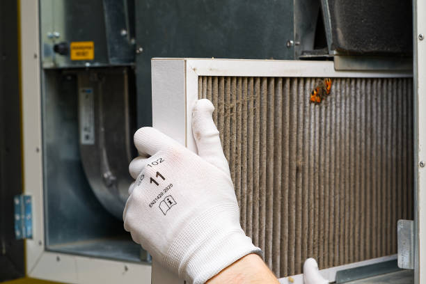 Best Affordable Air Duct Cleaning  in El Campo, TX